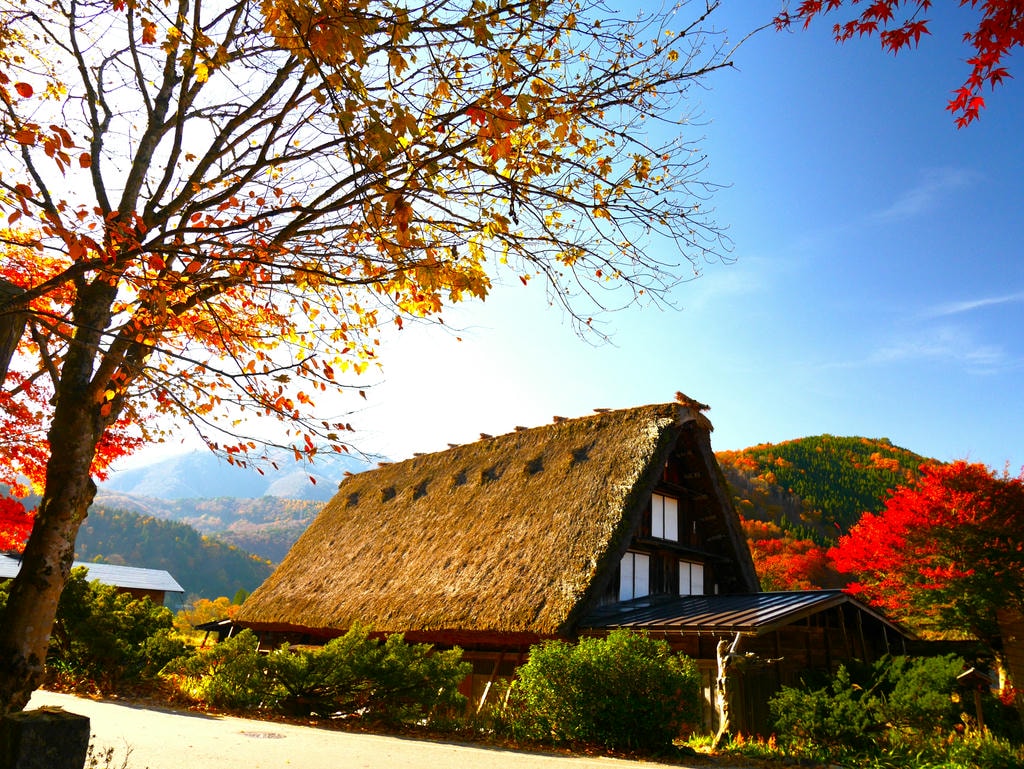 合掌村景點、交通、點燈時間總整理 - 第22張圖 合掌村內景色