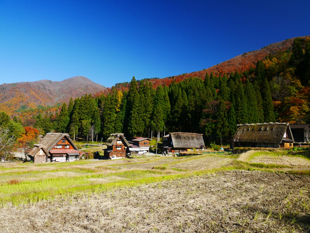 合掌村景點、交通、點燈時間總整理 - 第9張圖 白川鄉合掌村