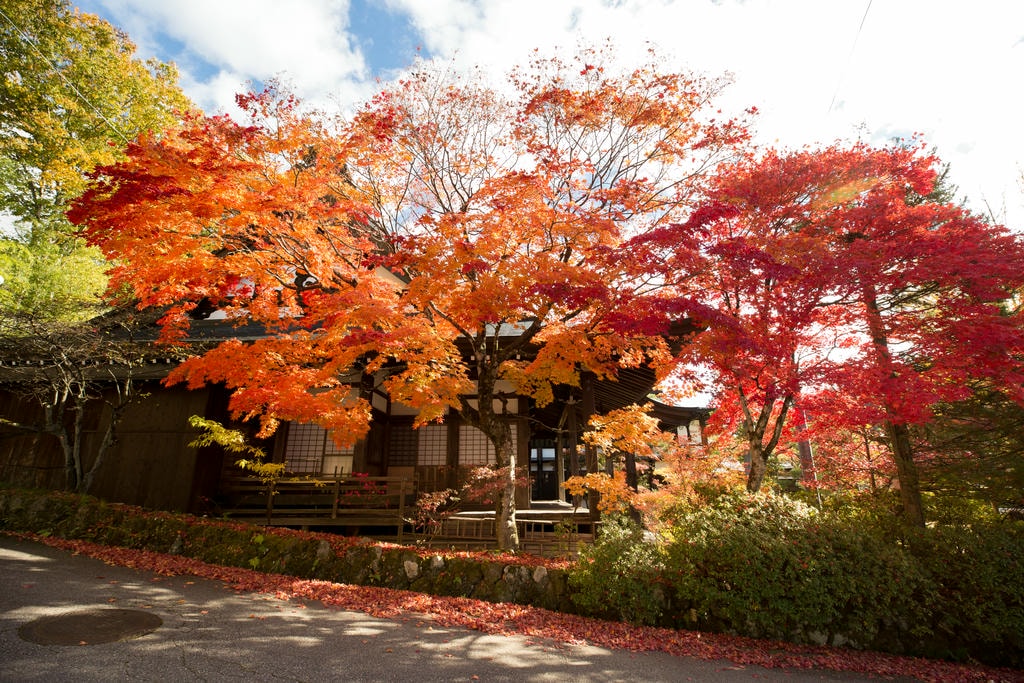 Top13高山景點!一日遊、二日遊都好玩! - 第57張圖 東山遊歩道
