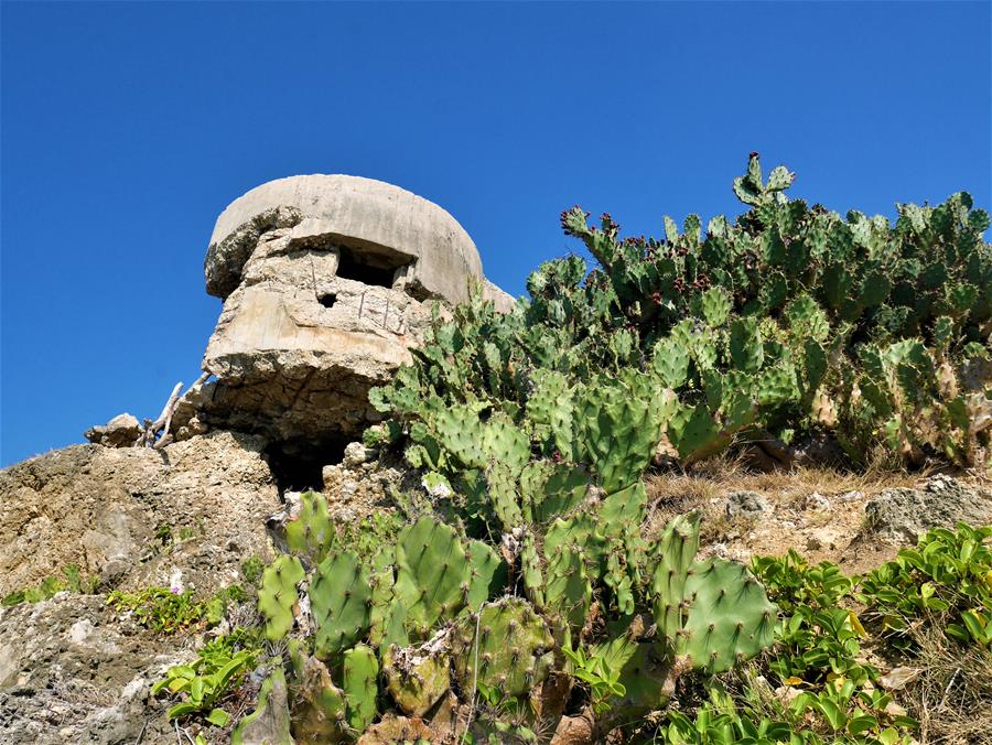 柴山海岸碉堡