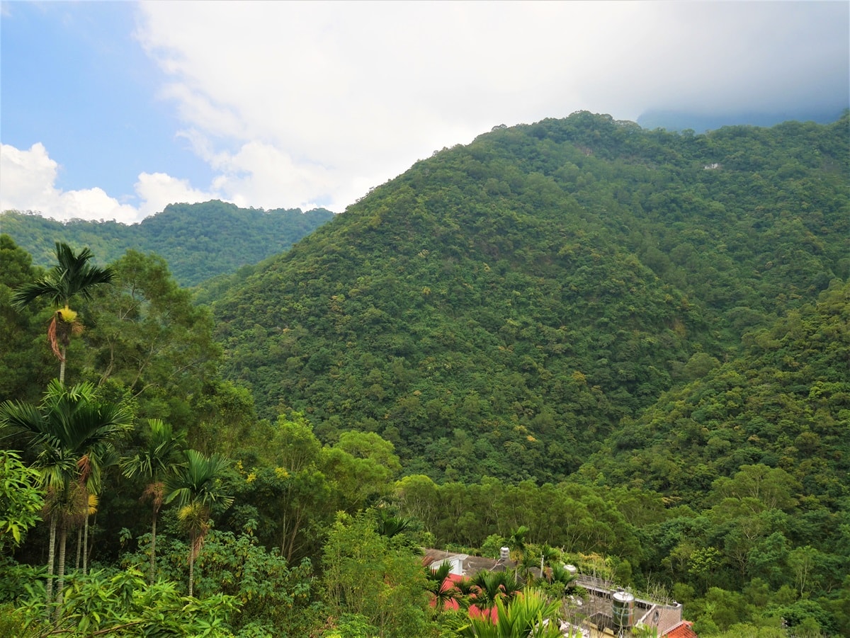 店後方風景