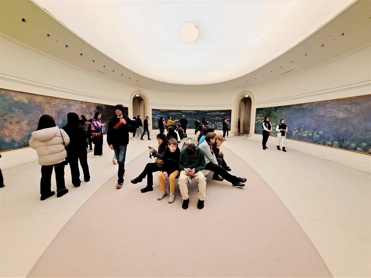 【橘園美術館】預約教學、必看作品整理!沉浸於莫內的睡蓮中! - 第8張圖 睡蓮橢圓形第一展室