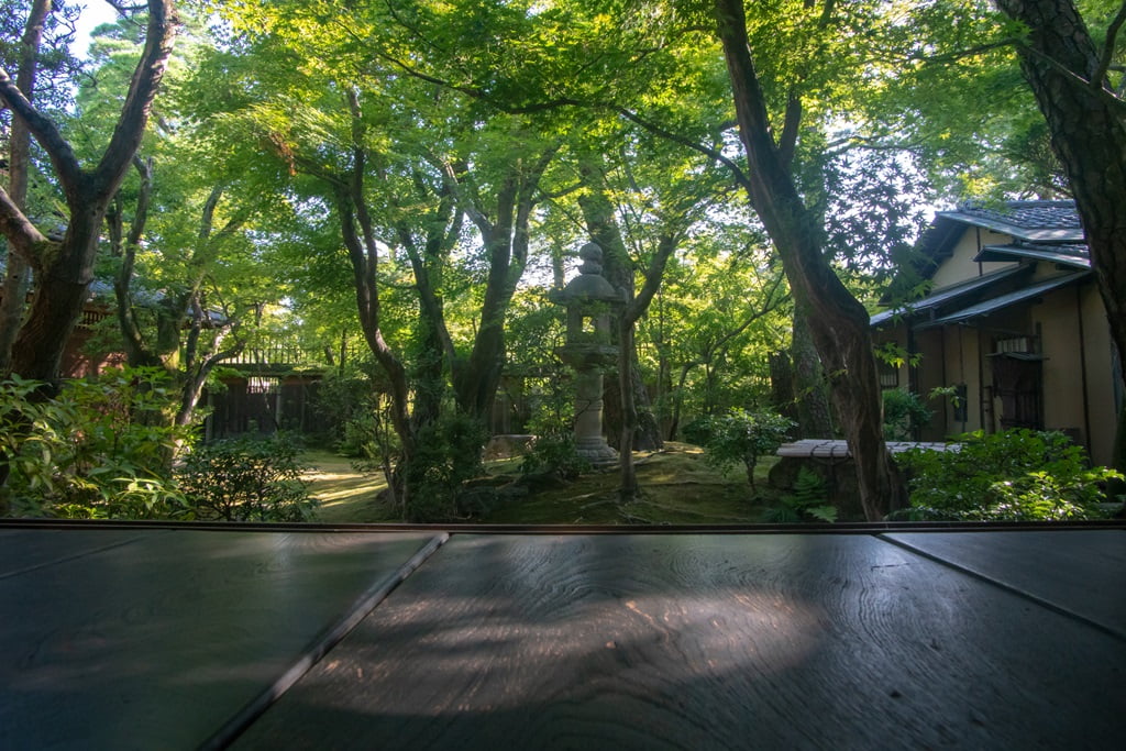 【岡山】倉敷美觀地區半日遊-楊柳、白壁藏與倉敷川遊船 - 第54張圖 大原本邸庭園