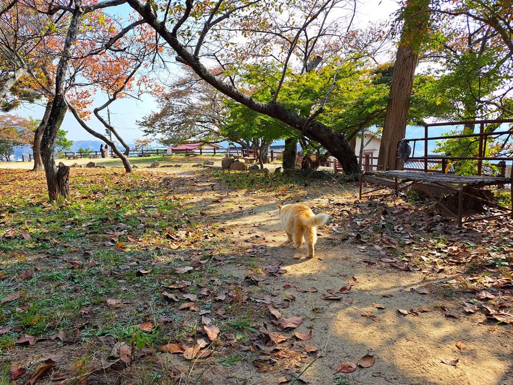 【廣島】尾道一日遊-讓人一眼就愛上的山城小鎮、水道與瀨戶內海 - 第26張圖 尾道共樂園