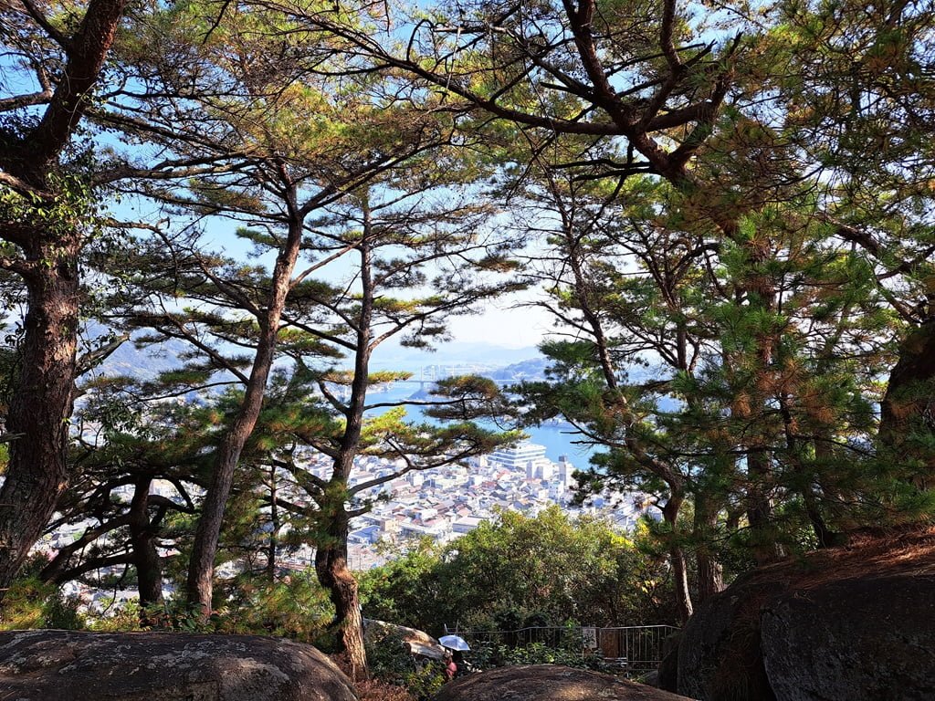 【廣島】尾道一日遊-讓人一眼就愛上的山城小鎮、水道與瀨戶內海 - 第68張圖 樹林間眺望遠處風景