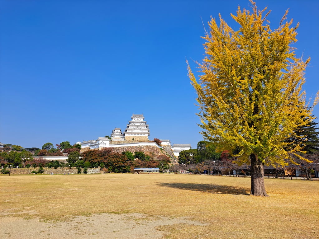 【姬路城一日遊】穿越400年的日本第一名城-遊覽古城結構大寶庫 - 第19張圖 三之丸廣場