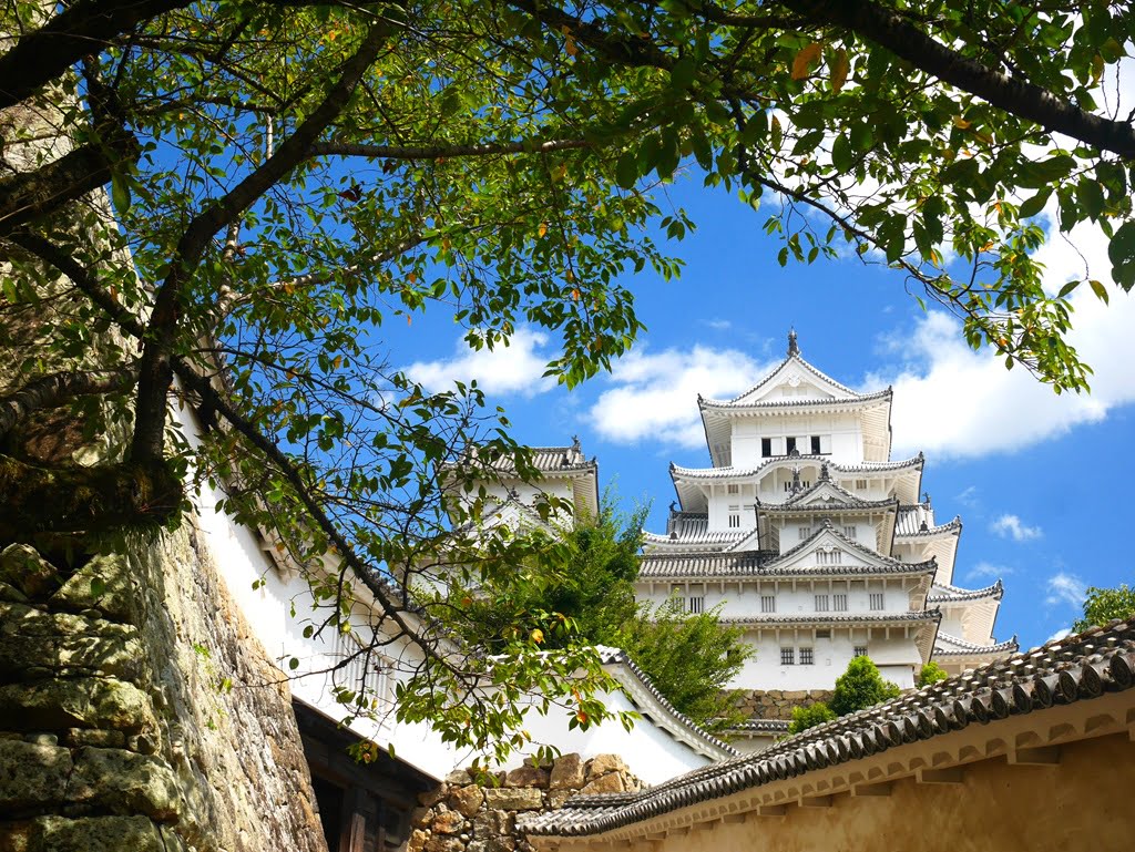 【姬路城一日遊】穿越400年的日本第一名城-遊覽古城結構大寶庫 - 第31張圖 從狹窄的道路仰望天守