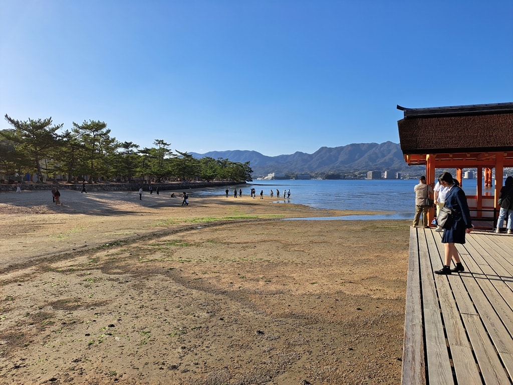 【宮島一日遊】嚴島神社大鳥居與海上社殿-歷史、交通與看點! - 第33張圖 正在退潮的沙灘