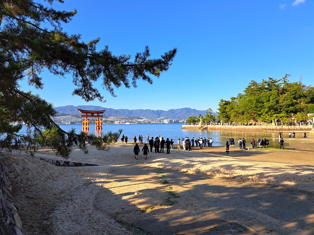 【宮島一日遊】嚴島神社大鳥居與海上社殿-歷史、交通與看點! - 第40張圖 前往欣賞海中鳥居