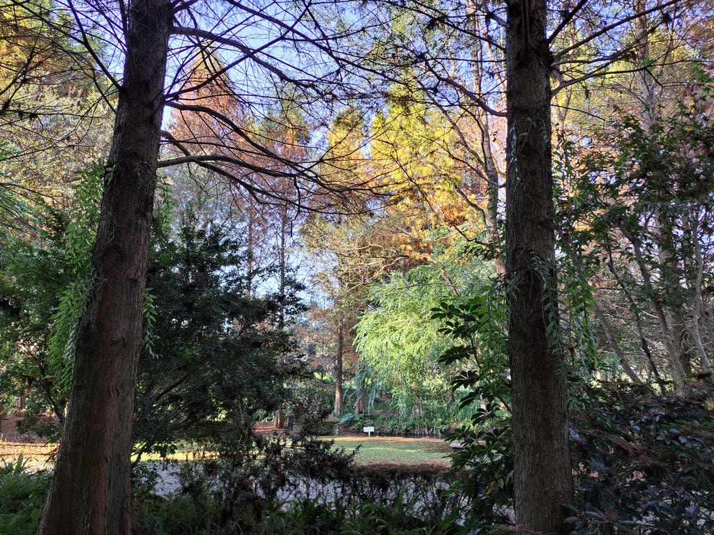 1樓露臺前景色