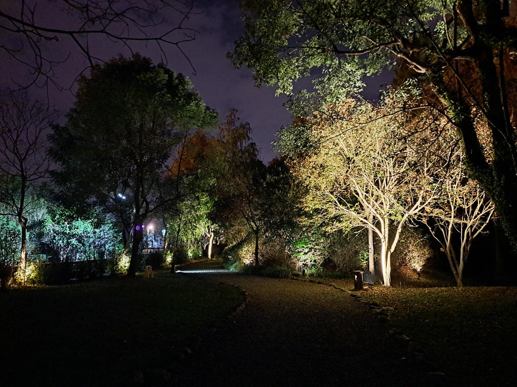 夜晚燈光