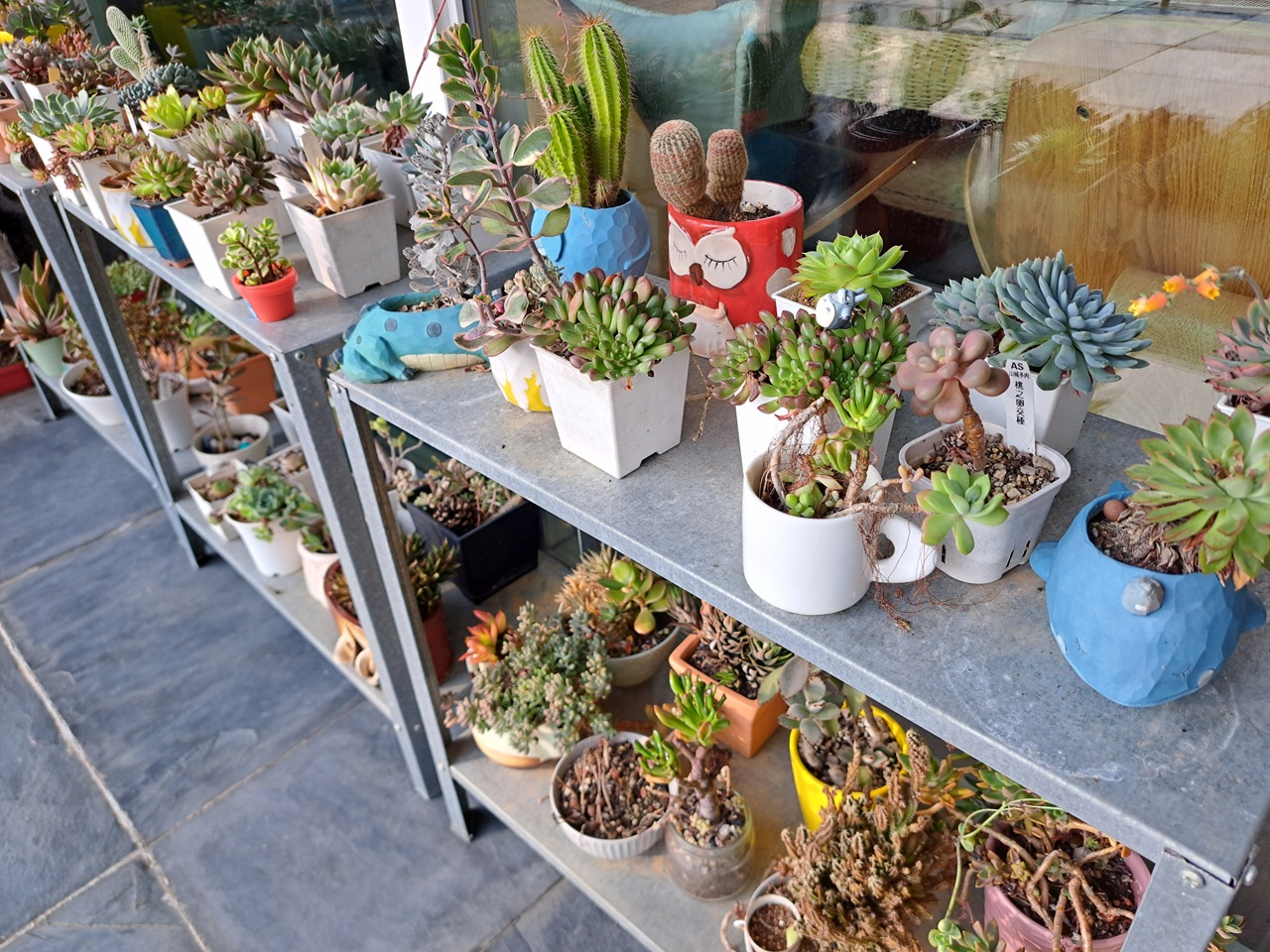 【日月潭原森林民宿】享受山林靜謐與泳池度假氛圍,親子家庭與情侶必住! - 第18張圖 用心照顧的植栽