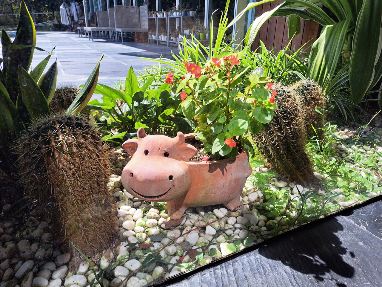 【日月潭原森林民宿】享受山林靜謐與泳池度假氛圍,親子家庭與情侶必住! - 第17張圖 用心照顧的植栽