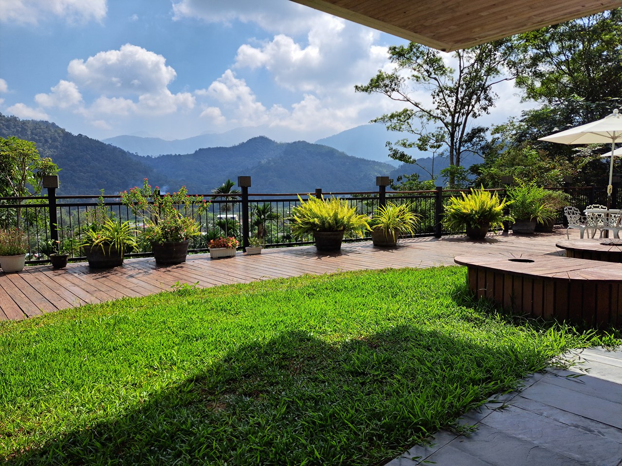 【日月潭原森林民宿】享受山林靜謐與泳池度假氛圍,親子家庭與情侶必住! - 第19張圖 草皮與植栽